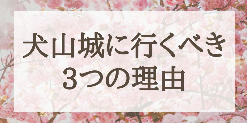 犬山城に行くべき3つの理由
